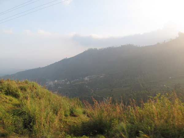 Doddabetta Peak, Nilgiri Mountains (blue mountains)