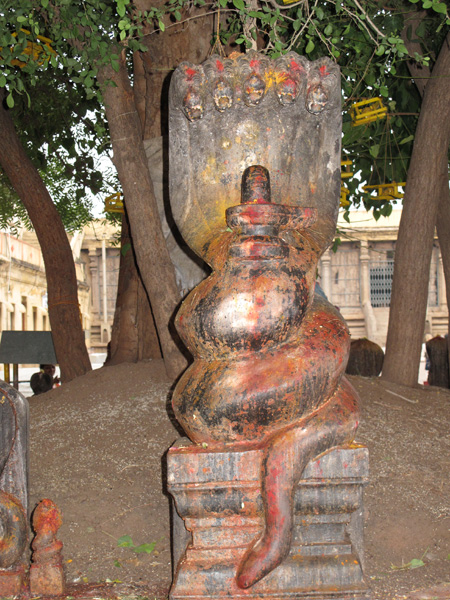 Lingam Yoni Kundalini