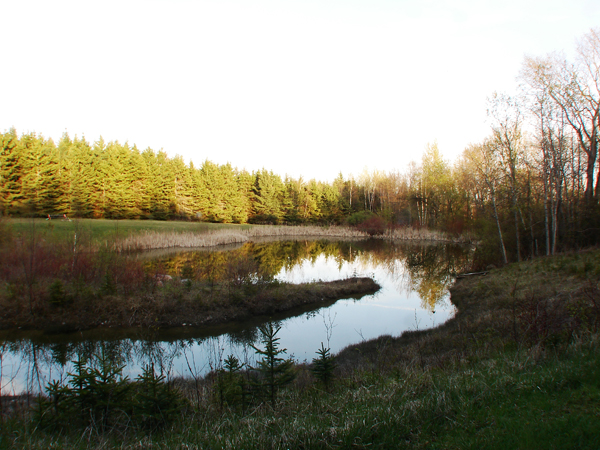 yoga retreat photo