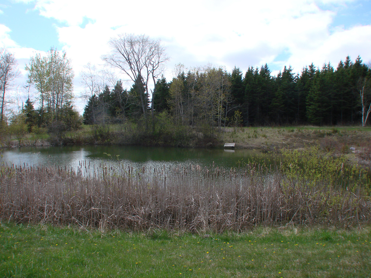 Lake at Northumberland Heights